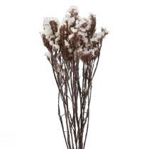 Artikel Gedroogde witte zeelavendel (Limonium) bloemen, 60 cm, 35 g