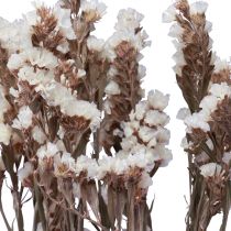 Artikel Gedroogde witte zeelavendel (Limonium) bloemen, 60 cm, 35 g