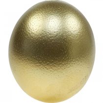 Artikel Struisvogel ei decoratie uitgeblazen paasdecoratie goud Ø12cm H14cm