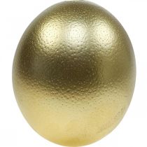 Artikel Struisvogelei decoratie uitgeblazen Paasdecoratie goud Ø12cm H14cm