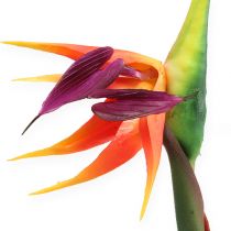 Strelitzie paradijsvogel bloem 62cm