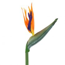 Artikel Strelitzia Bird of Paradise Kunstmatig 98cm