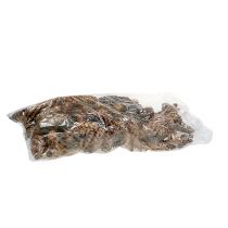 Artikel Strobus kegels 15 - 20cm beschilderd 100 stuks