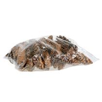 Artikel Strobus kegels 20 - 25cm geschilderd 50 stuks