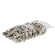 Artikel Strobus kegels 15cm - 20cm white washed 50 st