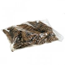 Artikel Dennenappels Witte den Strobus Naturel Gemengd 2,5kg