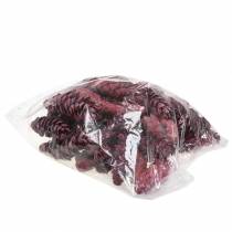 Artikel Strobus kegels decoratie rood wit gewassen 15-20cm 50 stuks