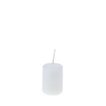 Artikel Stompkaarsen wit Adventskaarsen kleine kaarsen 60/40mm 24 st