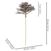 Artikel Kunstmatige vetplantbloemen van was, decoratie, 10 cm, 6 stuks