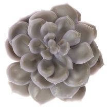 Artikel Kunstmatige vetplantbloemen van was, decoratie, 10 cm, 6 stuks