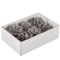 Artikel Kunstmatige vetplantbloemen van was, decoratie, 10 cm, 6 stuks