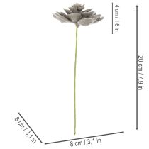 Artikel Kunstmatige vetplant van was met draad, 8 cm, 8 stuks