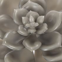 Artikel Kunstmatige vetplant van was met draad, 8 cm, 8 stuks