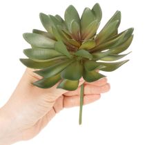 Artikel Kunstmatige vetplant als decoratieve plant, groen, 18 cm, 3 stuks