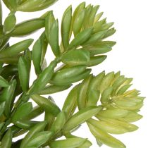 Artikel Kunstmatige vetplant voor een onderhoudsarme inrichting van woon- en kantoorruimtes, 15 cm, 6 stuks