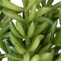Artikel Kunstmatige vetplant voor een onderhoudsarme inrichting van woon- en kantoorruimtes, 15 cm, 6 stuks