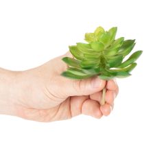 Artikel Kunstmatige vetplant, groen, voor decoratie in een schaal of vaas, 10 cm, 4 stuks