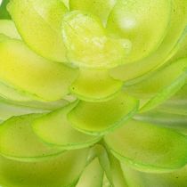 Artikel Kunstmatige vetplant, groen, voor decoratie in een schaal of vaas, 10 cm, 4 stuks