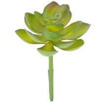 Artikel Kunstmatige groene vetplant als decoratie voor creatieve arrangementen.