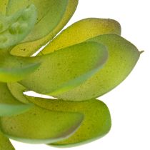 Artikel Kunstmatige groene vetplant als decoratie voor creatieve arrangementen.