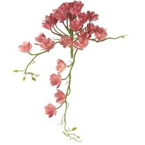 Artikel Kunstmatige vetplant 28 rozetten Aeonium oudroze 43cm