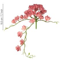 Artikel Kunstmatige vetplant 28 rozetten Aeonium oudroze 43cm