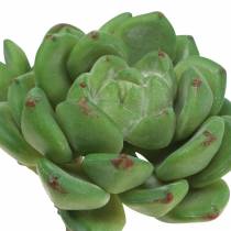 Succulent Echeveria kunstgroen H15cm