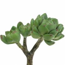 Artikel Succulent Echeveria kunstgroen H15cm