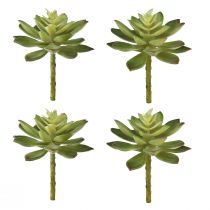 Kunstmatige vetplanten Kunstplanten Groen Ø10cm 4 st.