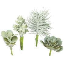 Artikel Vetplanten Kunstgroene Plant Groen Assortiment 9-18,5cm 4st