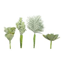 Artikel Vetplanten Kunstgroene Plant Groen Assortiment 9-18,5cm 4st