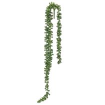 Artikel Hangende slinger van kunstplanten met vetplanten als decoratie voor de woonkamer