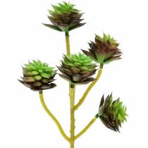Succulente pick groen / bruin 35,5 cm