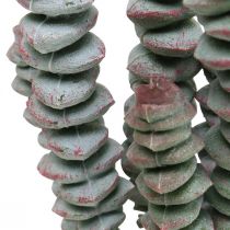 Kunst succulent groen, rood Kunstplant om op te plakken 19cm