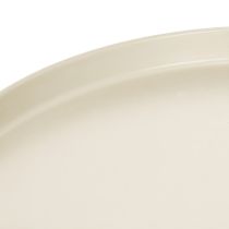 Artikel Decoratief dienblad van 30 cm met metalen schotel voor plantendecoratie