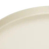 Artikel Decoratief dienblad van 30 cm met metalen schotel voor plantendecoratie