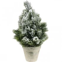 Mini kerstboom in een kunstmatig besneeuwde pot Ø18cm H32cm