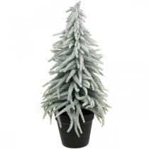 Winterspar in pot, kerstversiering, dennenboom met sneeuw H45cm