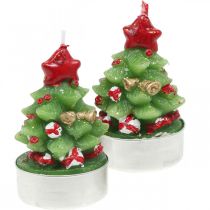 Theelichtjes Kerst theelicht dennenboom H6.5cm 6st