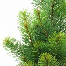 Dennentakken groen 43 / 54cm 6st
