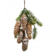 Dennengroen met kegels, winterdecoratie, dennentak om op te hangen, sneeuwkegeldecoratie L33cm