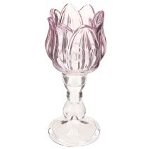Artikel Theelichthouder glas tulp glas paars Ø7cm H16cm 2st