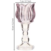 Artikel Theelichthouder glas tulp glas paars Ø7cm H16cm 2st