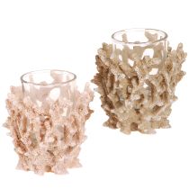 Artikel Theelichthouder koraal decoratie maritiem crème bruin H9cm 2st