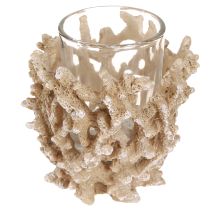 Artikel Theelichthouder koraal decoratie maritiem crème bruin H9cm 2st