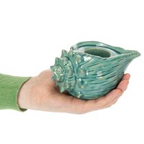 Artikel Theelichthouder in de vorm van een schelp, decoratief voor tafelkaarsen, badkamer en woonkamer, 16 cm