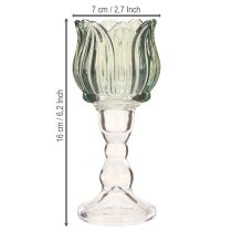 Artikel Theelichthouder tulp glas theelicht glas groen Ø7cm H16cm 2st