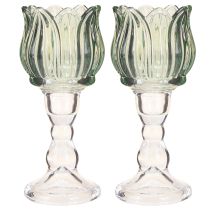 Artikel Theelichthouder tulp glas theelicht glas groen Ø7cm H16cm 2st