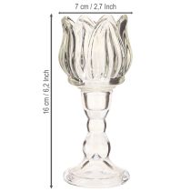 Artikel Theelichthouder tulp theelicht glas met voet helder Ø7cm H16cm 2st