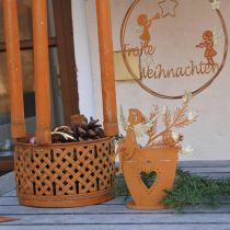 Artikel Theelichthouder kerst engel decoratie roest decoratie Ø8cm H18cm